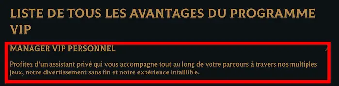 Manager VIP personnel